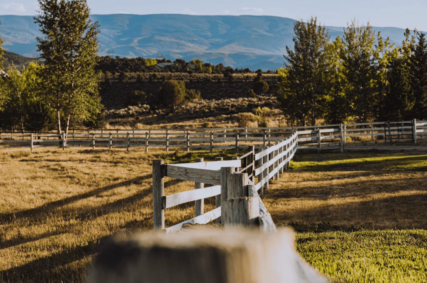 Acreages for sale Calgary and Calgary area rural homes by Diane Richardson