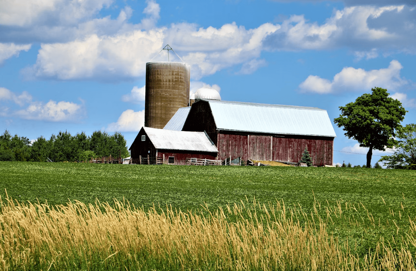 Rural acreage property with barn and mountain landscape