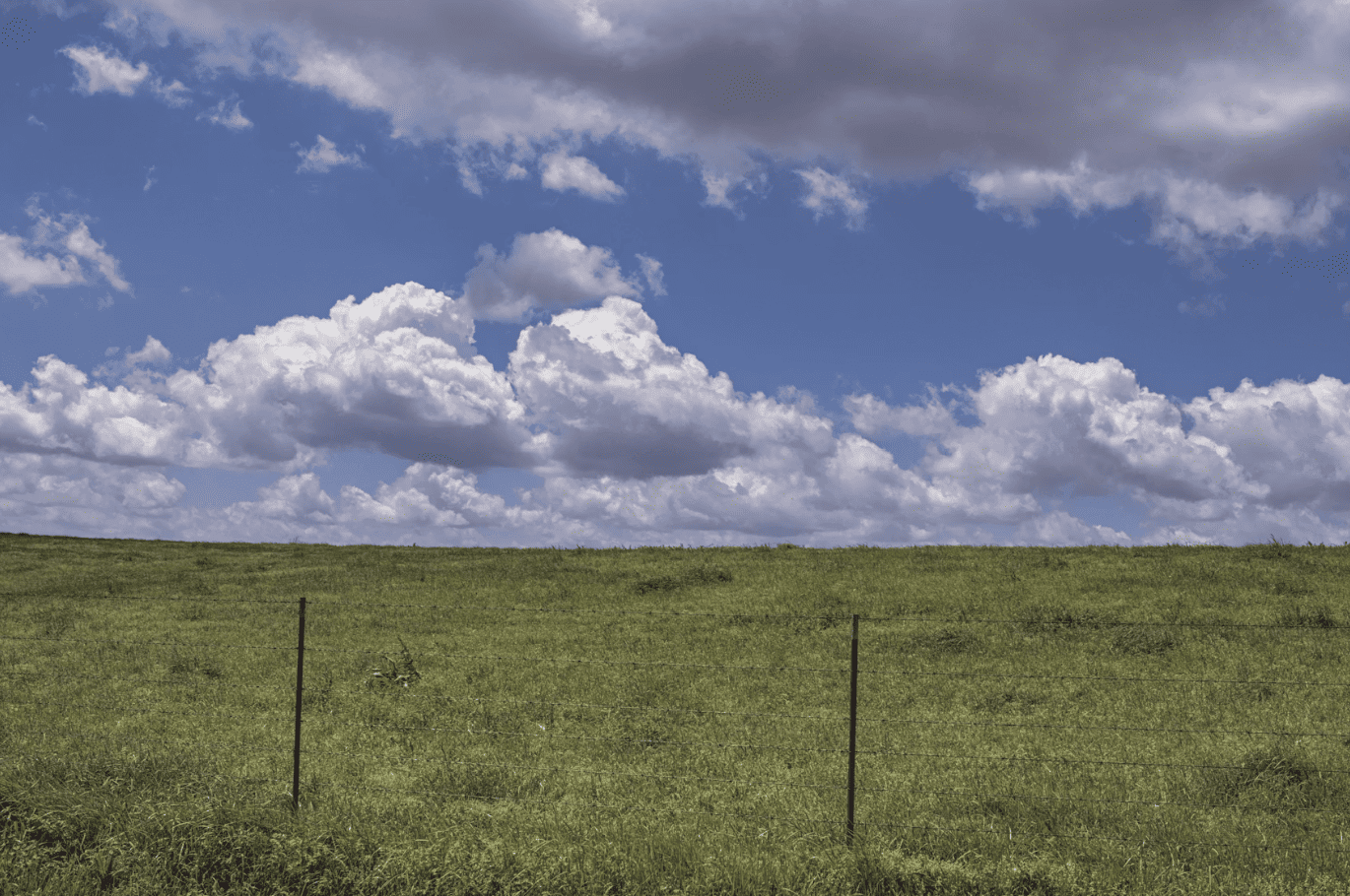 Millarville homes for sale by Diane Richardson