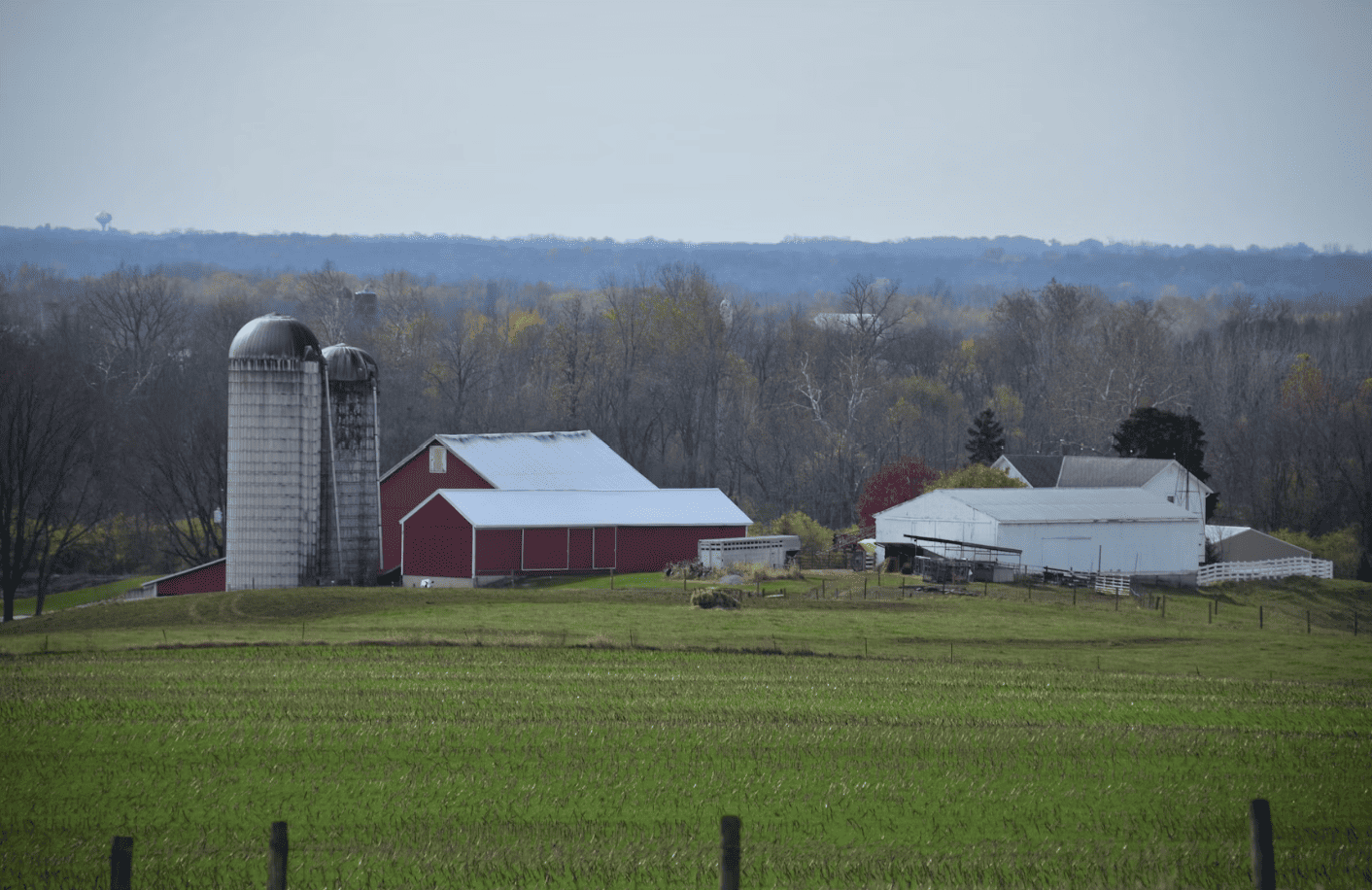 Diane Richardson - Red Deer County real estate and homes for sale