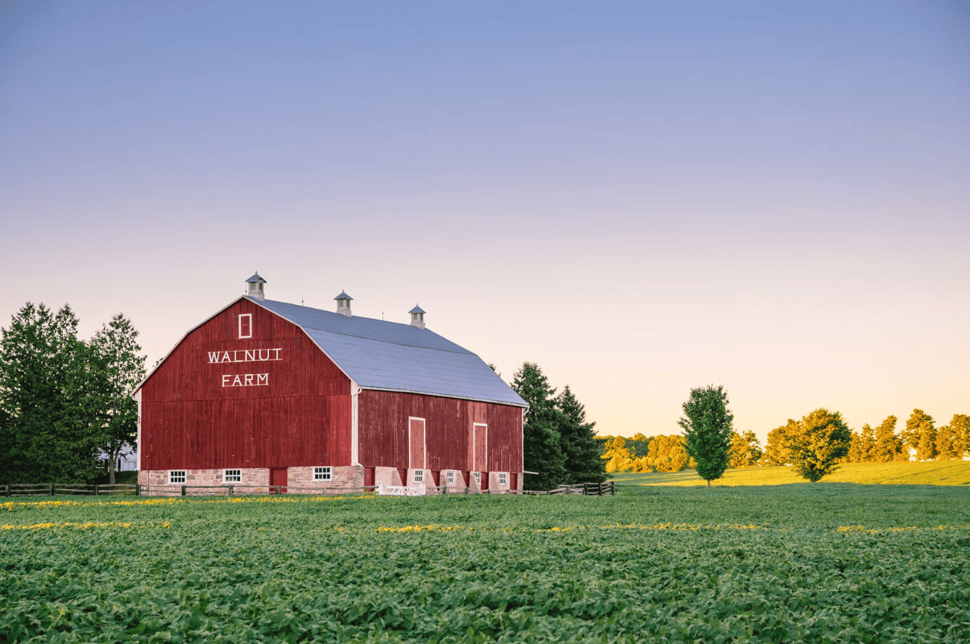 Diane Richardson - acreages for sale in Red Deer County Alberta