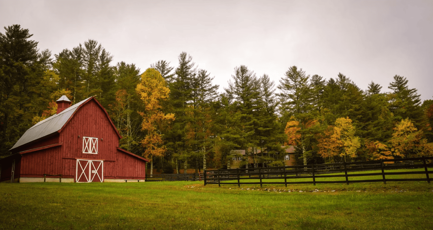 Diane Richardson - Springbank acreages for sale in Rocky View County