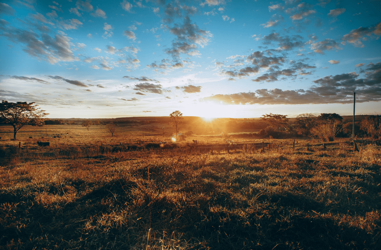 Foothills County acreages for sale by Diane Richardson
