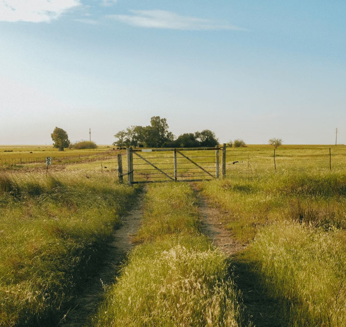Diane Richardson real estate Foothills County acreages, rural homes and land for sale Diane Richardson Foothills County acreages for sale and rural real estate